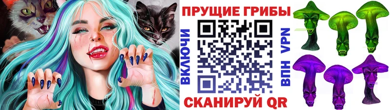 купить наркоту  Новый Уренгой  Галлюциногенные грибы Magic Shrooms 